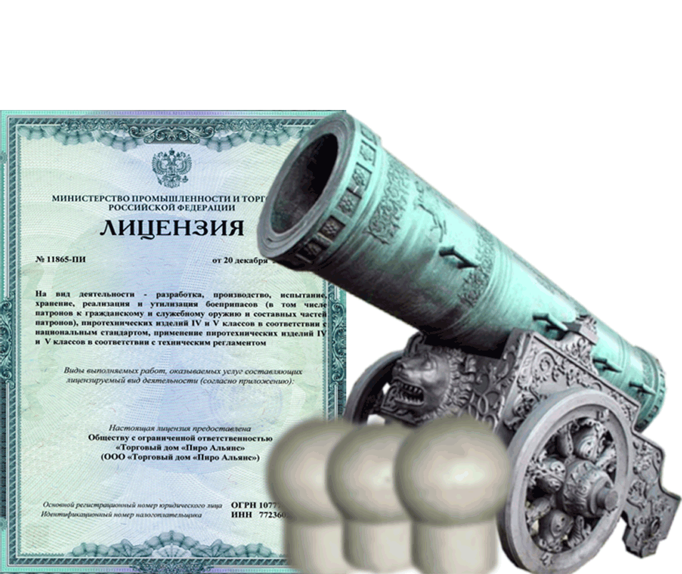 Заказать фейерверк на Новый Год - салют в Раменском