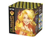 С огоньком! Фейерверк купить в Раменском | ramenskoe.salutsklad.ru