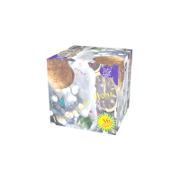 Новогодняя ночь Салют купить в Раменском | ramenskoe.salutsklad.ru