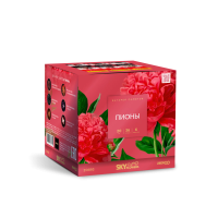 Пионы Салют купить в Раменском | ramenskoe.salutsklad.ru