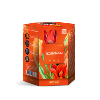 Тюльпаны Салют купить в Раменском | ramenskoe.salutsklad.ru