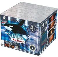 Косатка Фейерверк купить в Раменском | ramenskoe.salutsklad.ru