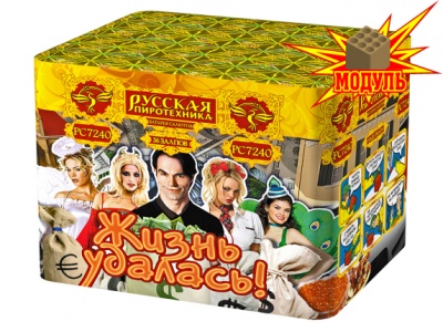 Жизнь удалась Фейерверк купить в Раменском | ramenskoe.salutsklad.ru