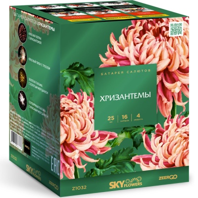 Хризантемы Фейерверк купить в Раменском | ramenskoe.salutsklad.ru