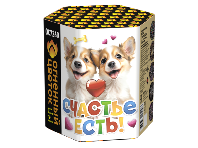 Счастье есть! Салют купить в Раменском | ramenskoe.salutsklad.ru